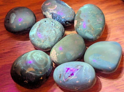 Blue Amber Jumbo Tumbled Stones