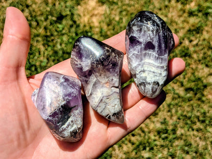 Chevron Amethyst Polished Points