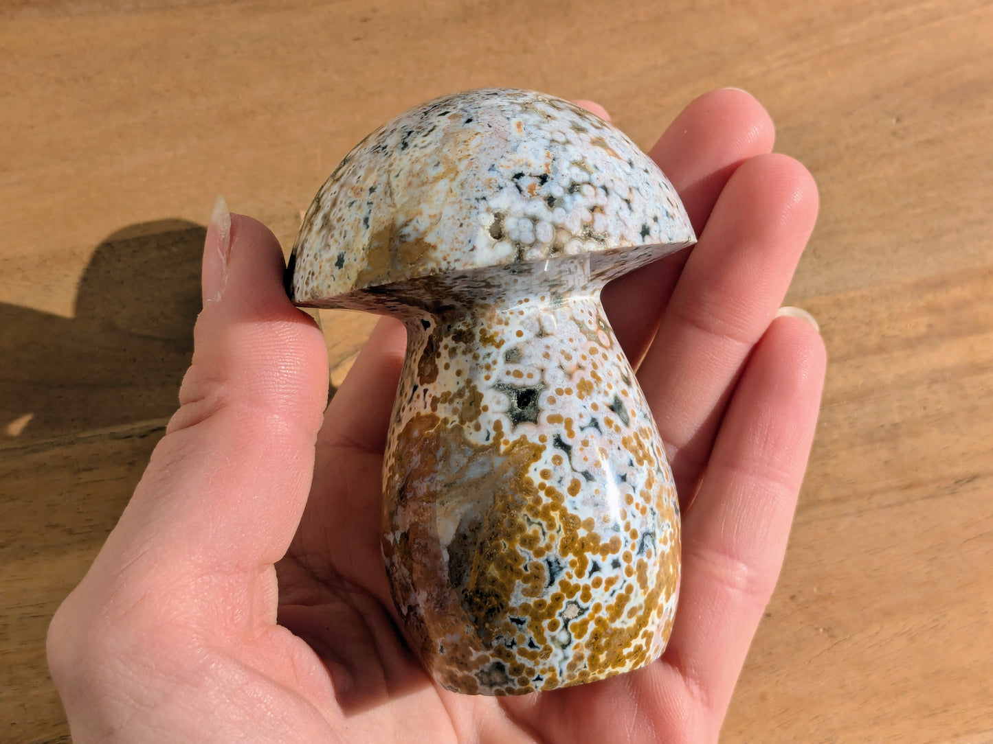 Ocean Jasper Mushroom - OOAK
