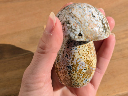 Ocean Jasper Mushroom - OOAK