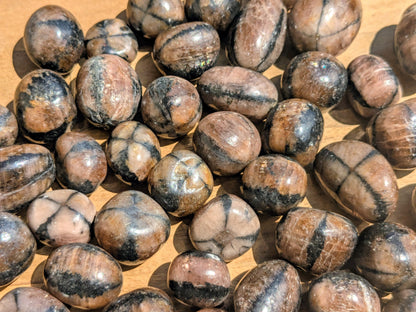 Chiastolite Tumbled Stones