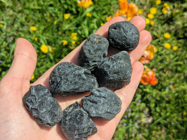 Agni Manitite Specimens