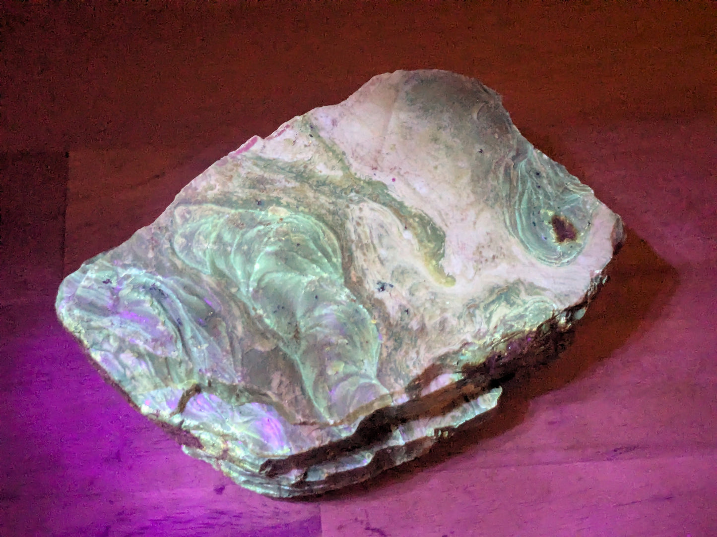 Rare Blue Amber Specimen - OOAK