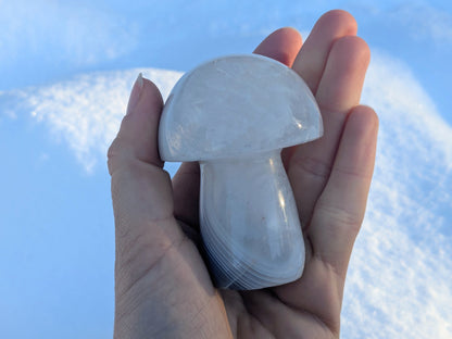 Banded Agate + Clear Quartz Mushroom