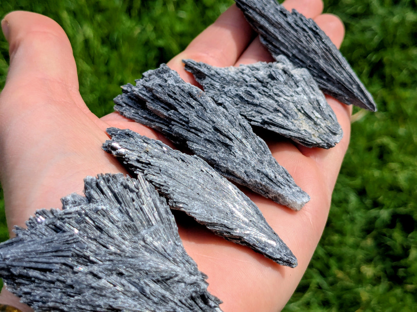 Black Kyanite Fans