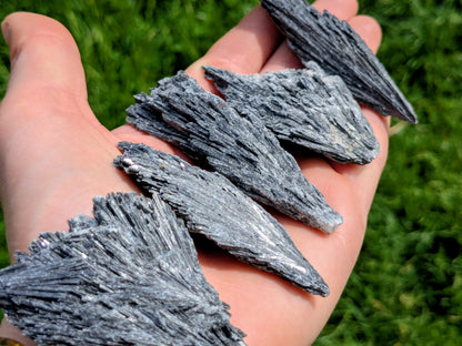 Black Kyanite Fans