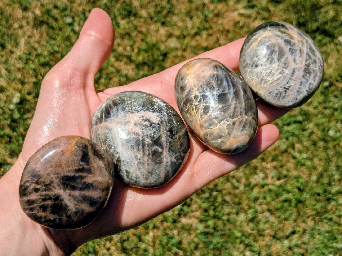 Black Moonstone Palm Stones