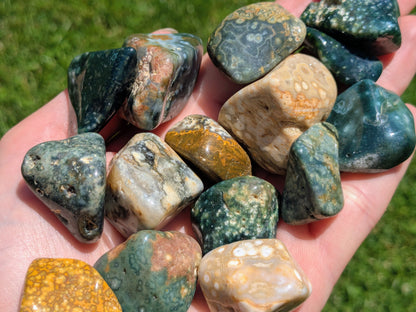 Ocean Jasper Tumbled Stone