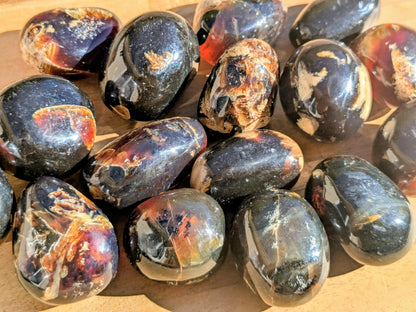 Blue Amber Jumbo Tumbled Stones