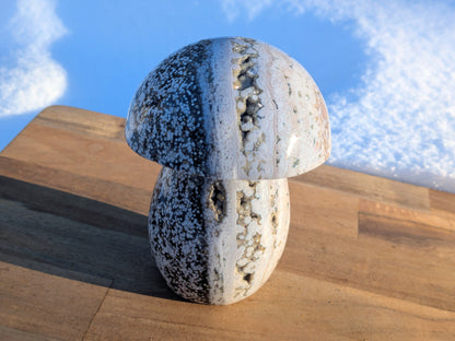 Druzy Ocean Jasper Mushroom - OOAK
