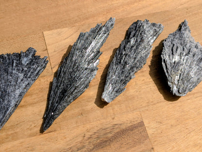 Black Kyanite Fans