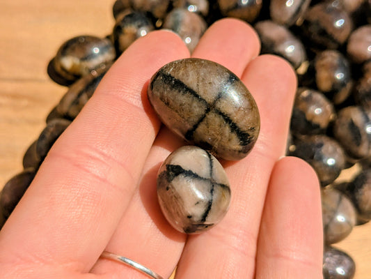 Chiastolite Tumbled Stones